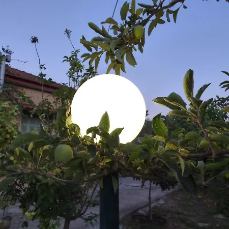 Experience And Relaxing Near Ancient Messini Holiday home
