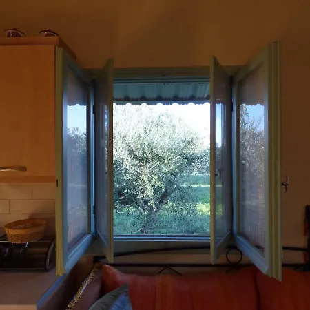 Experience And Relaxing Near Ancient Messini