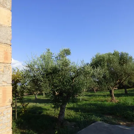 Experience And Relaxing Near Ancient Messini Holiday home